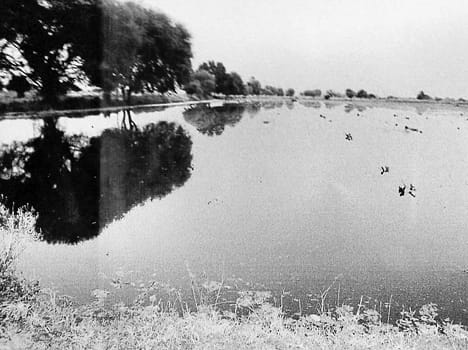 The contractor cut canal, submerged crops