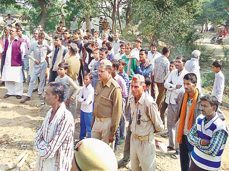 At loggerheads animal sheds, 24 killed