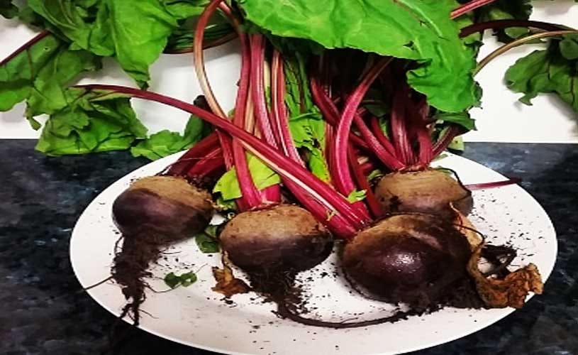 Harmful Effects Of Beetroot 