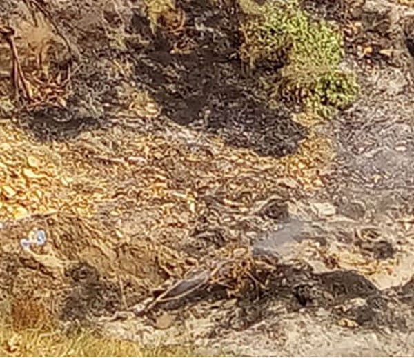 boy killed due to illegal relations in jind, dead body found burnt in farm