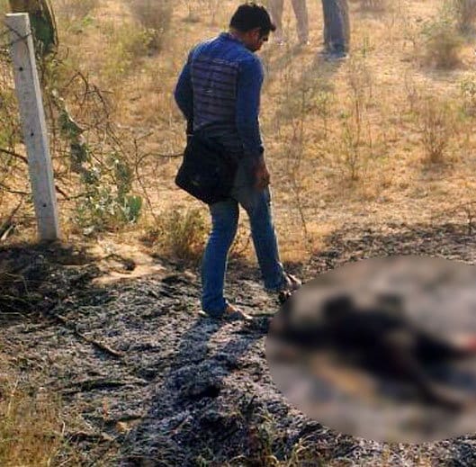 boy killed due to illegal relations in jind, dead body found burnt in farm