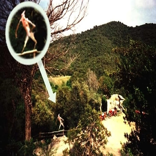 Real Life Stories Of Mysterious Creatures