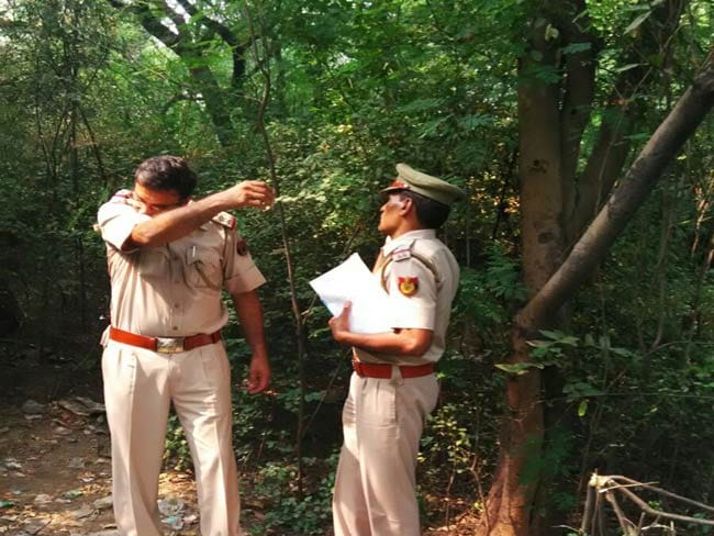 several days rugged body fond in forest