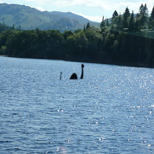 Real Life Stories Of Mysterious Creatures