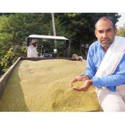 Farmer, crop Moong, not sell, protest, Hisar