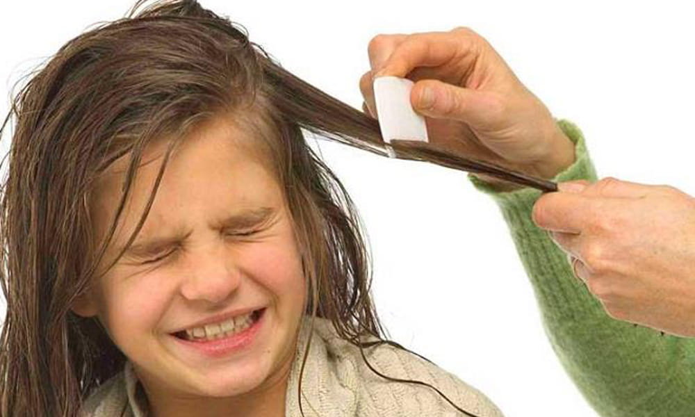 not only for dryness petroleum jelly is also useful for hairs