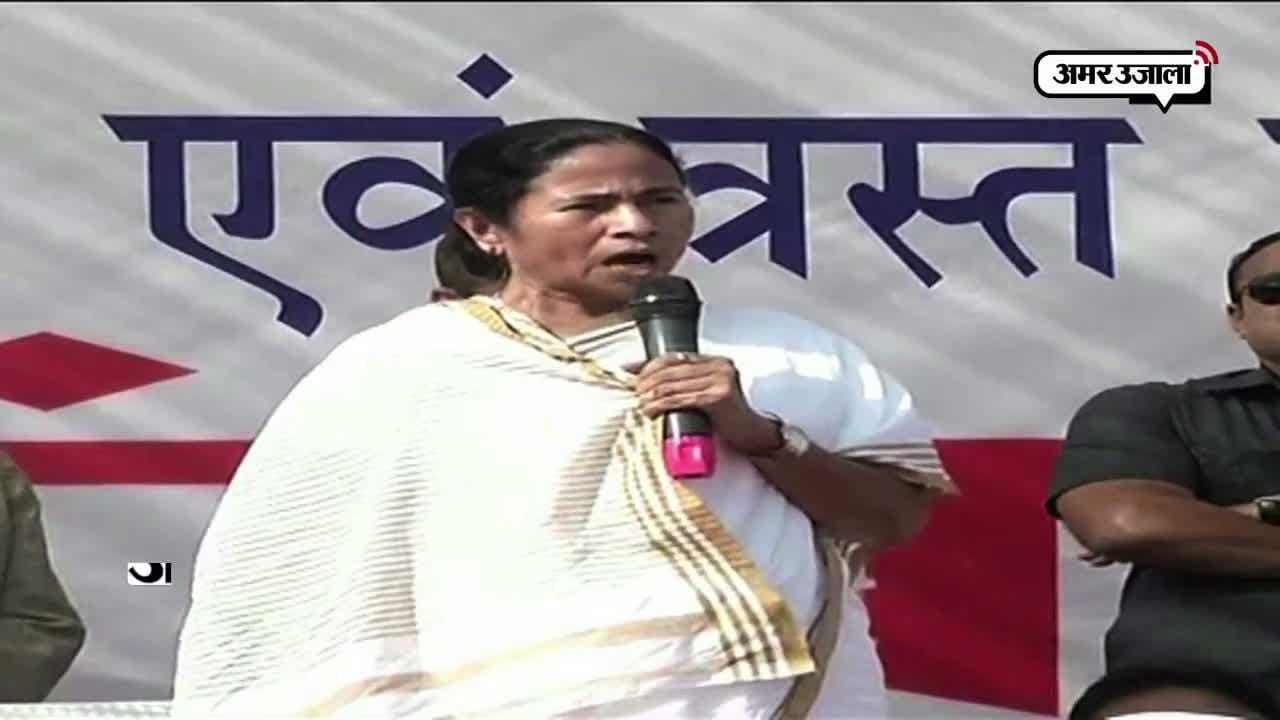 ममता