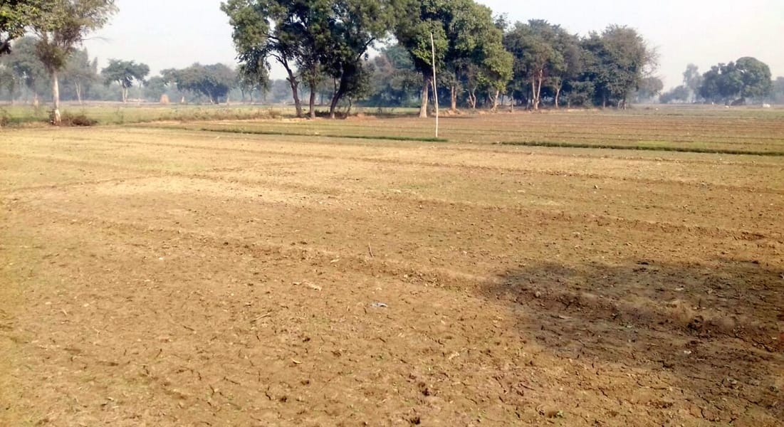 nakad na mil rahee udhaaree, not bandee kisaanon par bhaaree