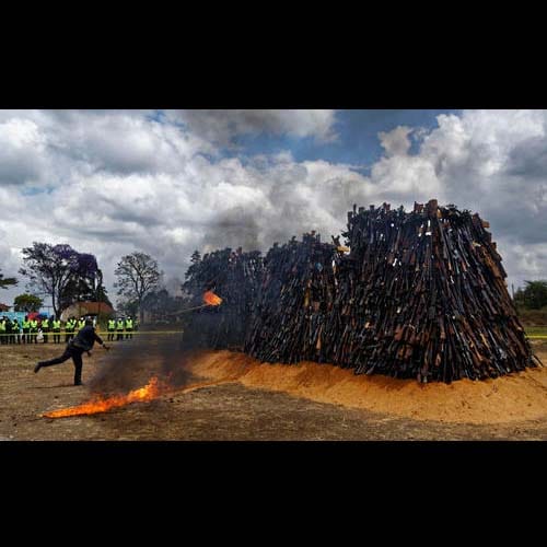 more than five thousand weapons burns in kenya
