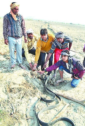 The hue and cry in the webbing of the Yamuna Khadar