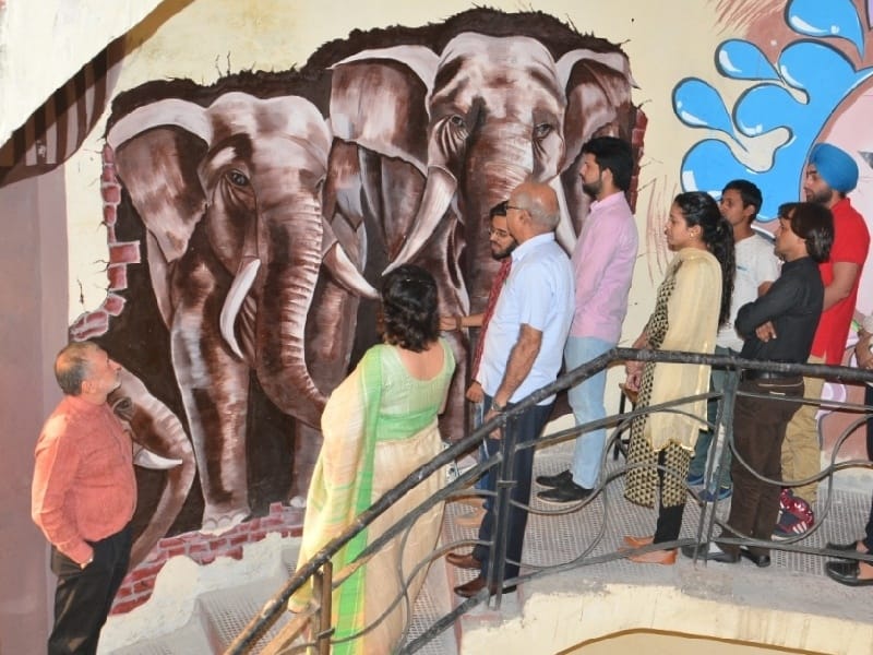  Desh Bhagat University, organizes art artwork, student, painting, exhibition, Fatehgarh Sahib