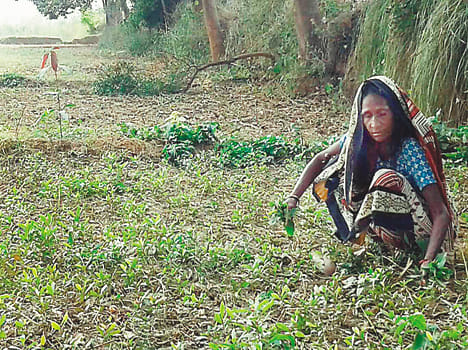 Farmers are not being able to sow crops