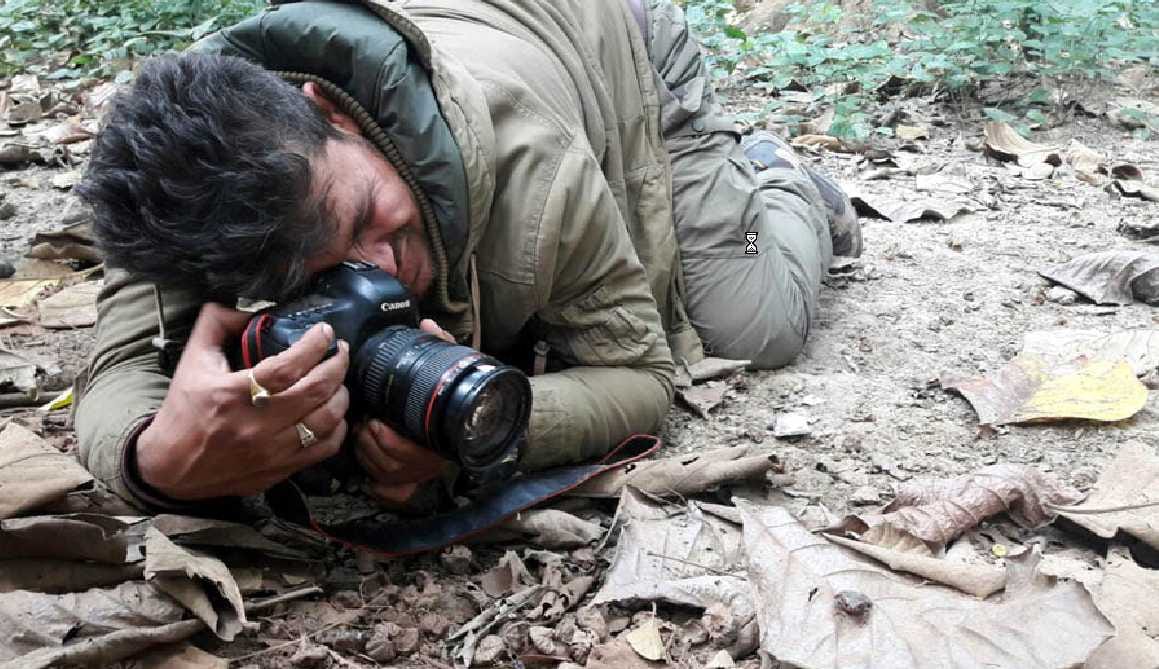 Woods arrived photographer to capture beautiful moments