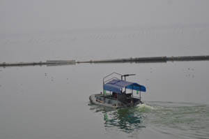Scene of Chiluataal will be changed 