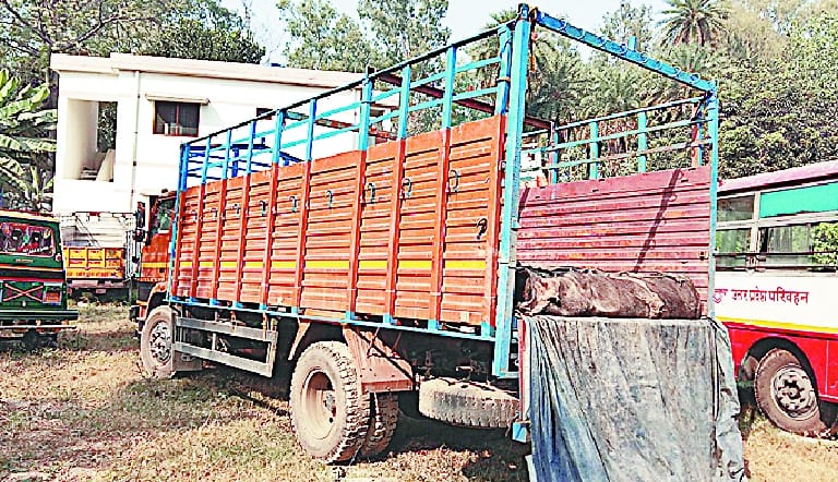 Three arrested with 200 skins of its progeny