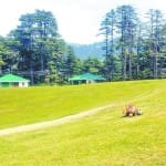 विश्व पर्यावरण दिवस 2021