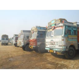 stand on truck, no money, no trade, jind