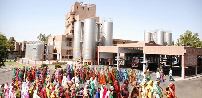 Farmers threatens to stop Milk supply to Amul