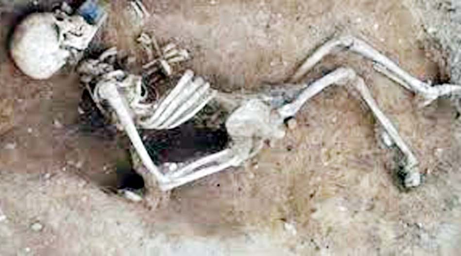 skeletons in Murng panic