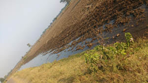 agriculture 80 carores