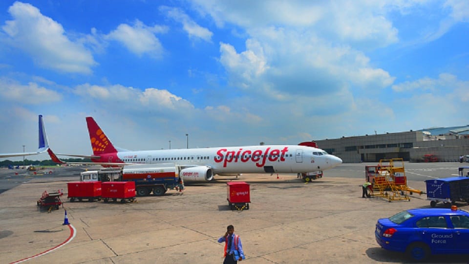 Monkeys take over runway in Ahmedabad