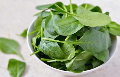 disadvantages of spinach
