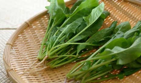 disadvantages of spinach