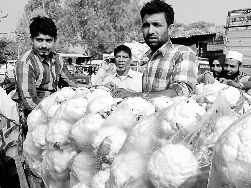Notbandi, vegetable producers upset, vegetable prices fell, Malerkotla, Sangrur