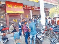 jind, famous bussiness, buffalow murah, bussiness stop, jind, harayana
