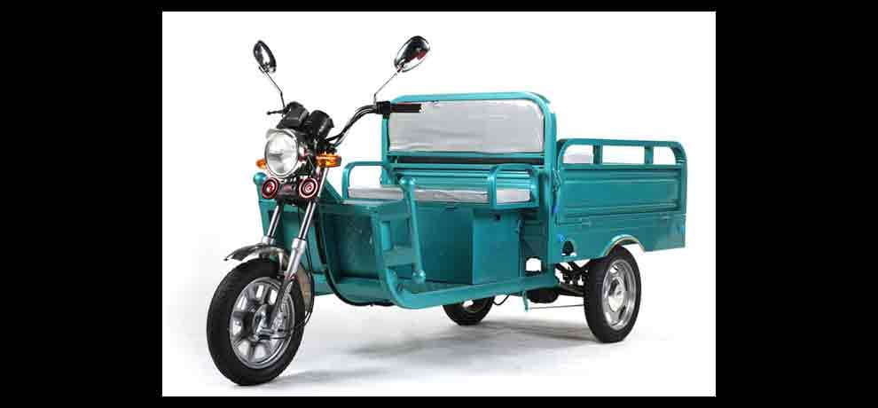 delhi government will introduced e-cart to fight pollution in delhi