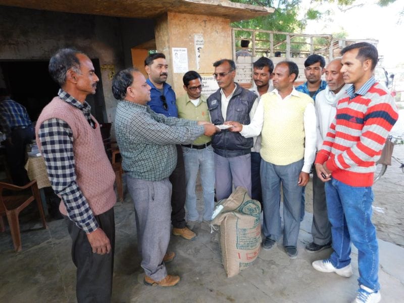 Government orders the day after wandering farmer