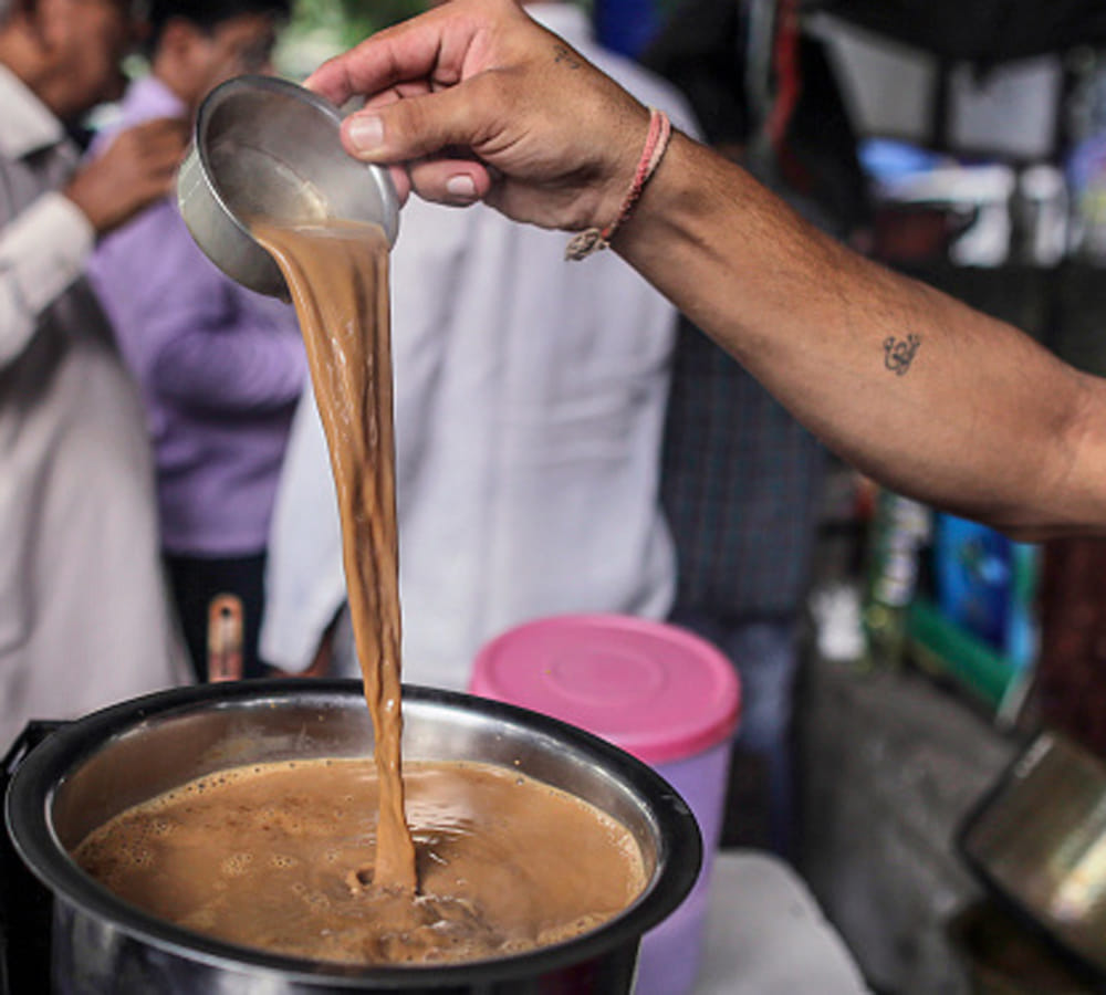 know how much tea you should drink in a day