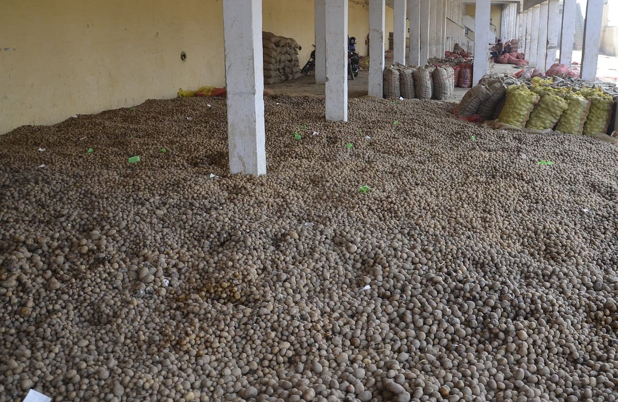 Bag of potatoes, not buyer.