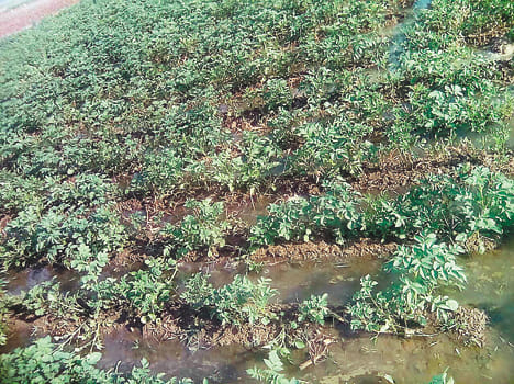 Farmers will get compensation court