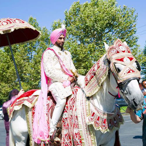 why groom ride on mare