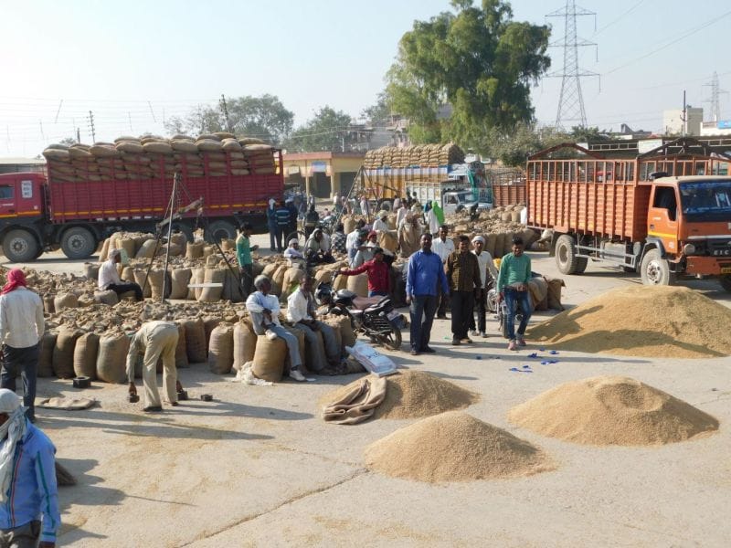 Paddy procurement: purchase target was only 1.5 per cent