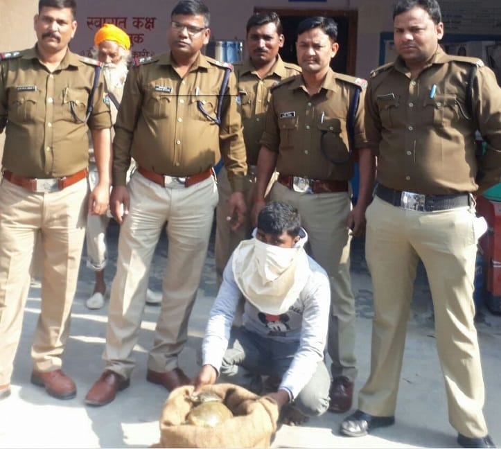 Turtles caught smuggling were brought from Pilibhit