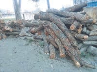 yamuna nagar, khair, wood, cut
