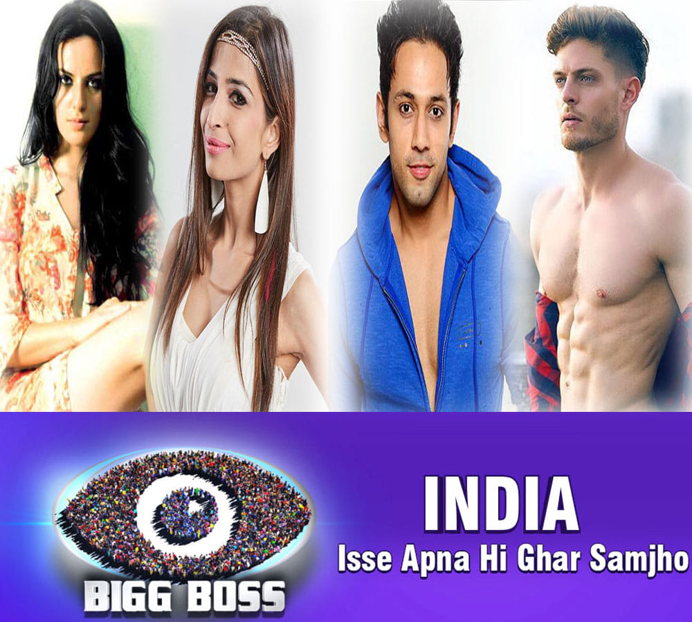 BIGG BOSS: Bani gets evicted on her birthday ?