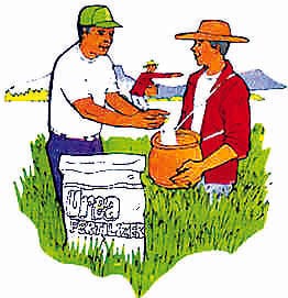 Notbandi affected by the purchase of fertilizer
