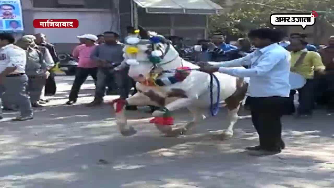 गाजियाबाद : घोड़ी डान्स 