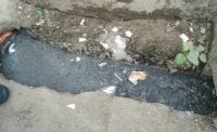 fatehabad, note, in pond500 note, 1000 note found,   fatehabad,  harayana