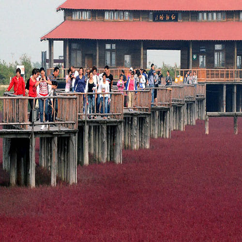 Incredible Red Beach in Panjin
