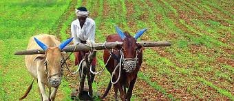 Capture water canals, seventy percent empty farm