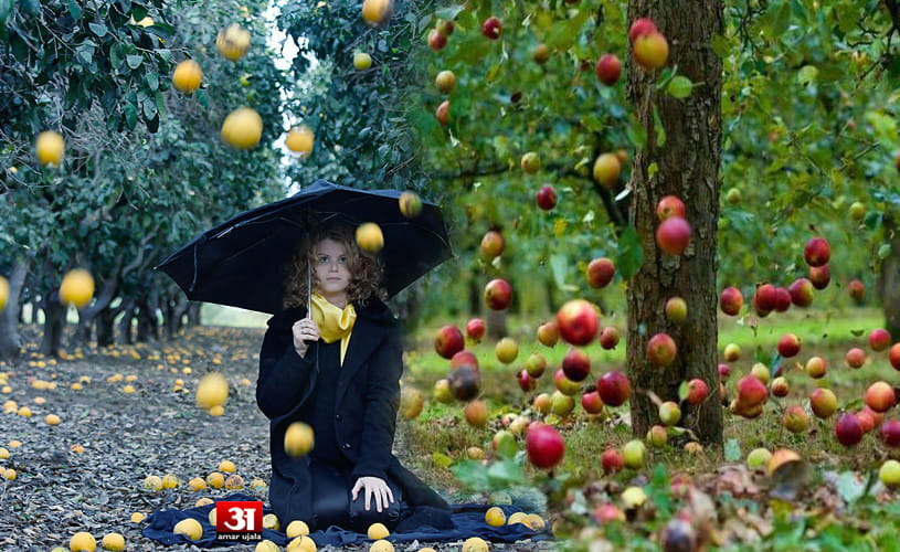 Apple rain in England
