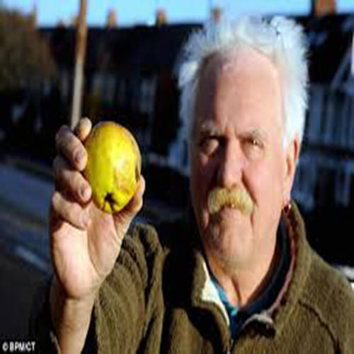 Apple rain in England