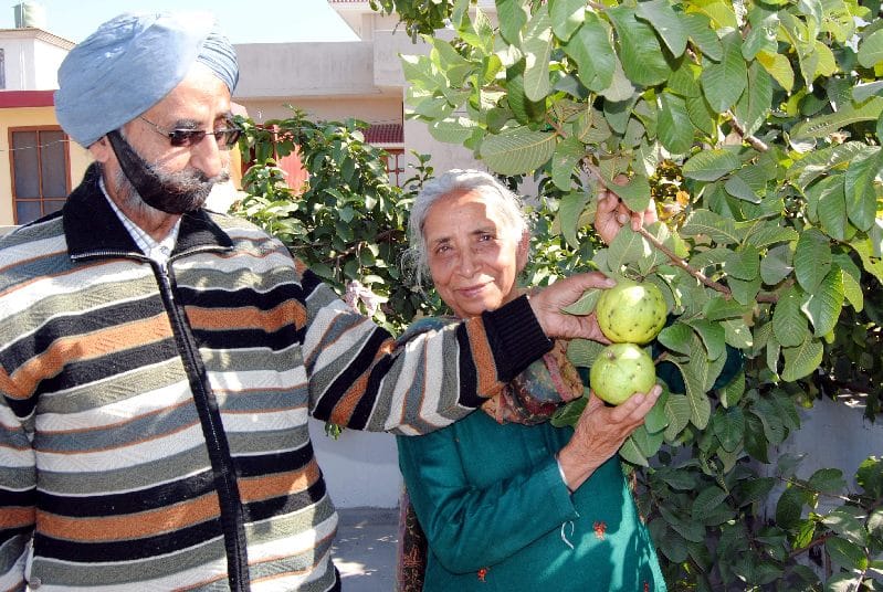 Elderly couple delivering the message of organic farming