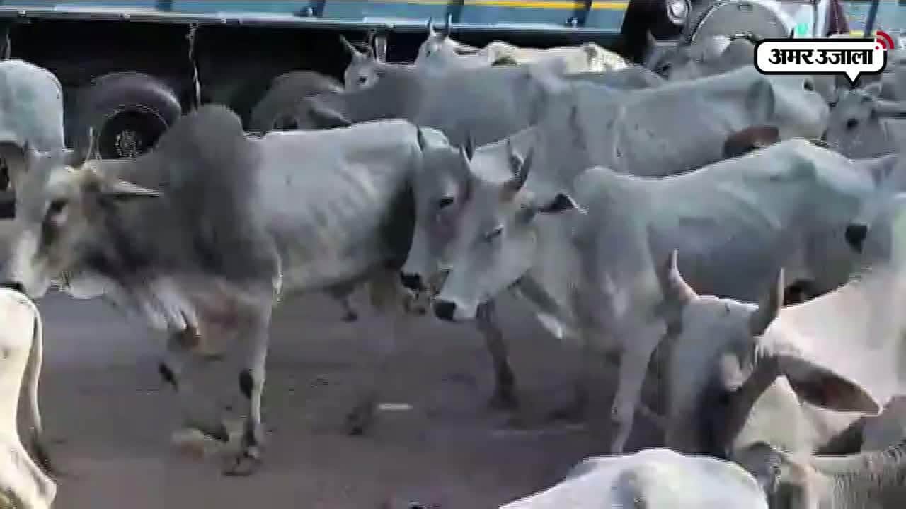 हमीरपुर