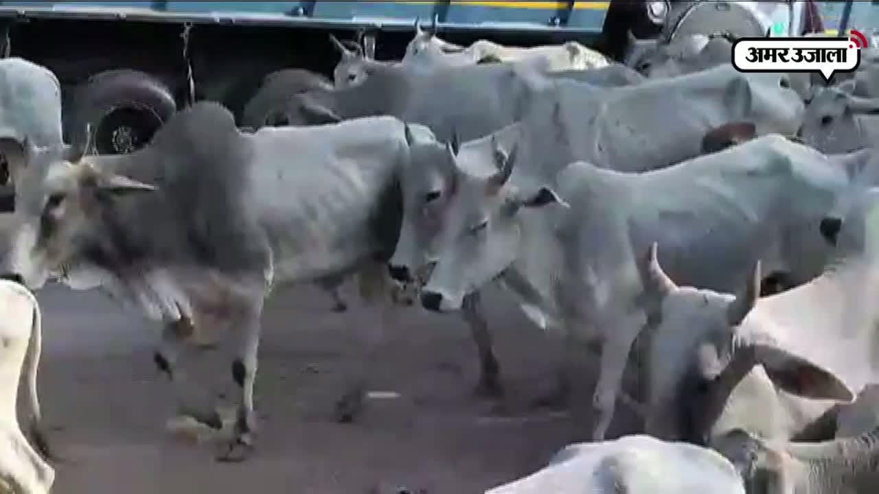 हमीरपुर
