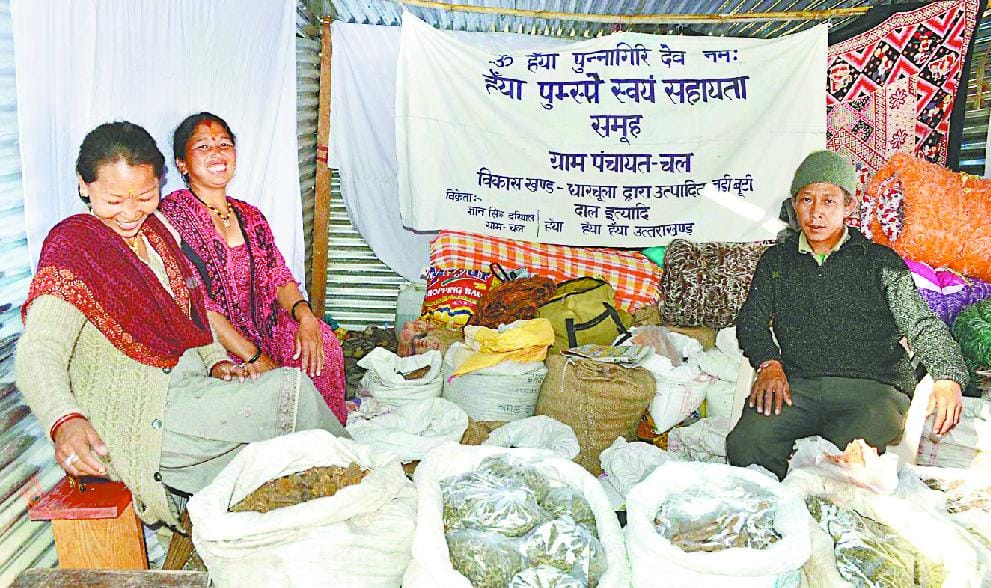 The effect of the herb producers Notbandi